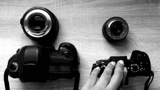 Understanding a Mirrorless Camera