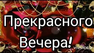 Прекрасного Вечера! 🌹🌹🌹Хорошего Отдыха!