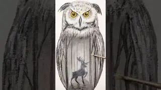 Owl and Deer Multiexposure - Time lapse acrylic painting