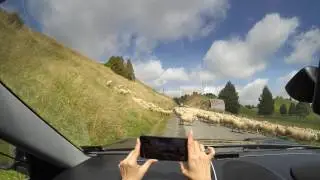 Dashcam: New Zealand traffic! Flood of Sheep