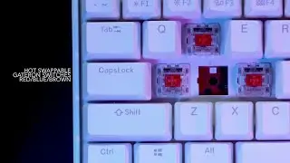 RUMI61 Mechanical Keyboard