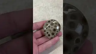 Three Petoskey Stones Get a Polish