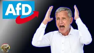 AfD - normalna prawica czy potomkowie Adolfa?