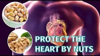 Top 10 Healthy Nuts Protect Your Heart