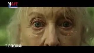 Lit Scares International Film Festival 2024 Finalists (All Categories )