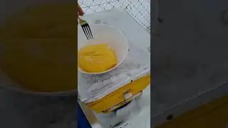 Первая подкормка пчел.