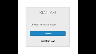 A simple image classifier web app using Django REST API