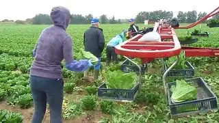 Nông Dân Nước Ngoài Làm Nông Nghiệp NTN - Những Công Nghệ Hiện Đại Có Hiệu Suất Vượt Trội
