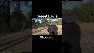 Desrt eagle shooting #shorts #weapons #deserteagle #gun