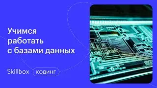 SQL для начинающих. Интенсив по SQL