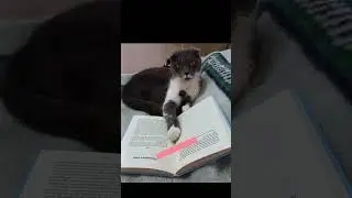 А ви читаєте влітку?