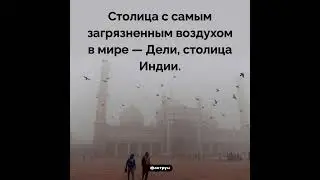 Интересные факты о природе