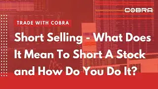 Short Selling - What Does It Mean To Short A Stock and How Do You Do It?
