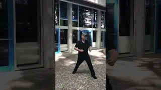 Xingyi Quan - 5 Elemente Verbindungsform