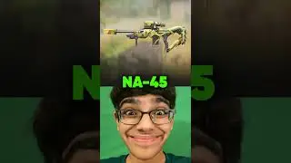 What the Gun Skin Says About You!