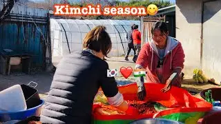 Making kimchi with my korean in-laws 🇮🇳❤️🇰🇷. Kimchi season❄️