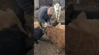 Элитный ресторан 