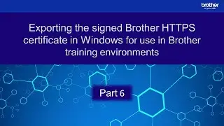 Exporting the signed HTTPS certificate in Windows for use in Brother training environments: Part 6