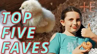 Cross E Ranch Baby Animal Days Top 5 Must do list