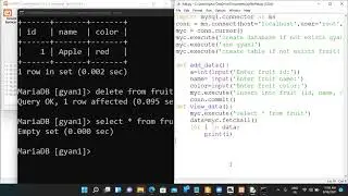 XII Interface of Python (Delete query)