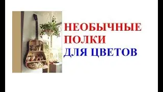 Необыкновенные полки для цветов.