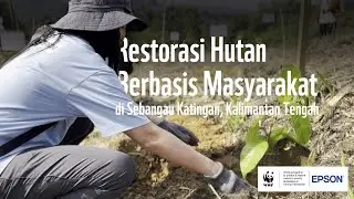 Restorasi Hutan Berbasis Masyarakat di Sebangau Katingan, Kalimantan Tengah
