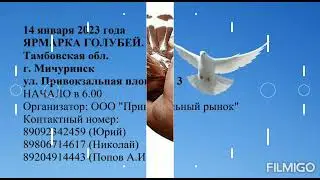 29 декабря 2022 г.