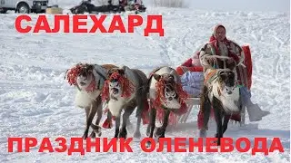 Праздник оленевода. Салехард. Этнографическая эспедиция