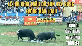 Do Son Buffalo Fighting Festival VTV 2026 (Match 1) | TRONG TUAN BT