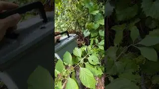 Geocaching in Ocala, FL