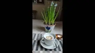 после просмотра Новостей, время пить капучино🤗👍👍👍👍