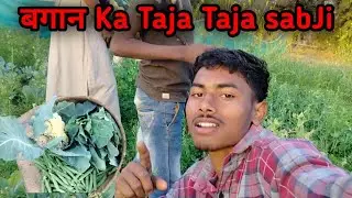 bgan ka taja sabji🥰गोभी मटर and bhot kuch .❌🥰