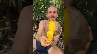 Pizza Mango