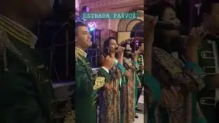Estrada Parvoz