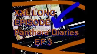 Panthera Diaries EP3