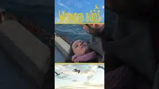 Meryem fainted! #WoundedBirdsUrdu  #shorts