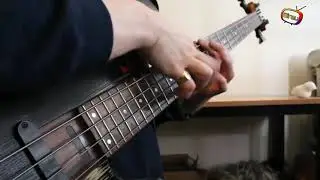 Alip Ba Ta feat Charles Berthoud - Canon Rock