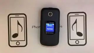Samsung Gusto 3 Incoming Call (SM-B311V)