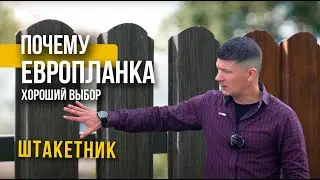 Забор Штакетник / Европланка - почему это прекрасный выбор для вашего участка?