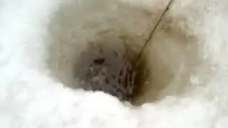 Рыбалка зимой 2019 проверка сети ,отличный улов!!!