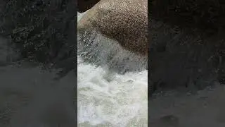 ashula aytib beray degan joyi