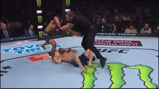 BEST UFC KNOCKOUTS OF 2022