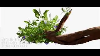 Plant Growth with Proximity Geo Nodes