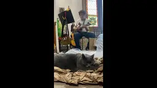 I unbox a baritone ukulele from Orphan Vintage Finds on Etsy