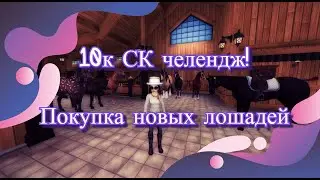 10К СК ЧЕЛЛЕНДЖ! ПОКУПКА НОВЫХ ПОРОД И АМУНИЦИИ
