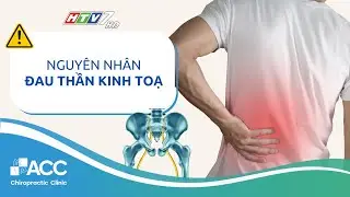 Đau thần kinh tọa: Triệu chứng và cách điều trị dứt điểm