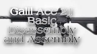 GALIL ACE 21 I BASIC DISASSEMBLY AND ASSEMBLY I jayceracompacttv