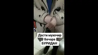 Дастша буридан/Ки/Барои чи/Да кучо/Да хами навор мефахме!