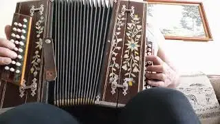 Гармонь любительская