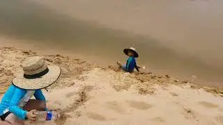 cows on the beach - part 1